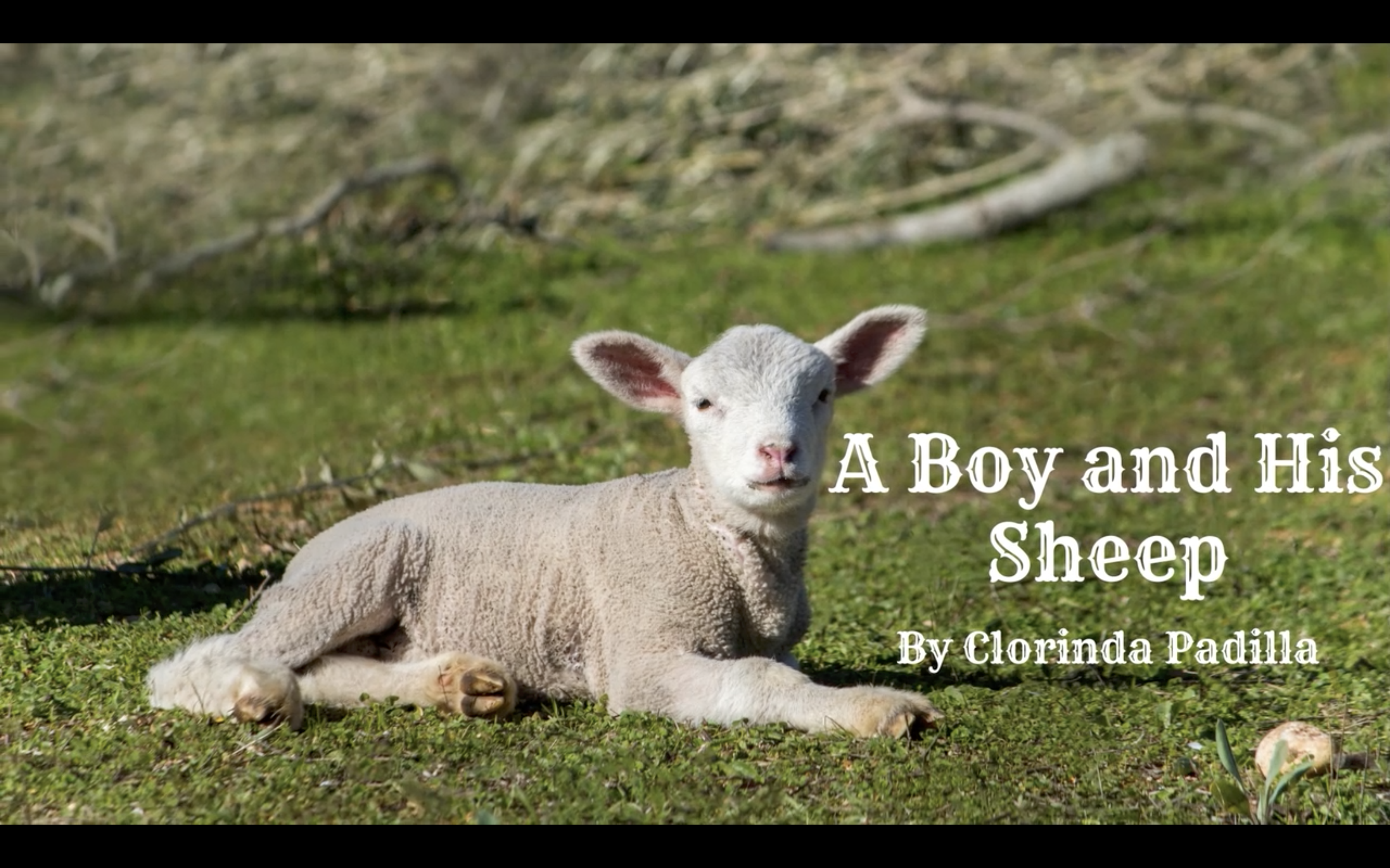 A-Boy-and-his-sheep
